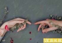 Несподелените чувства