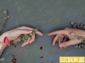 Несподелените чувства