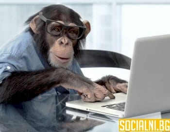 Маймуна управлява компютър със съзнанието си