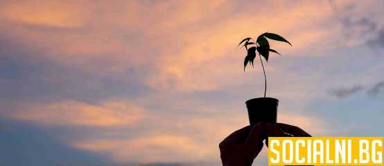 Пътят към духовно израстване