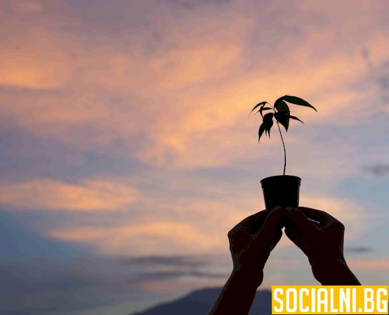 Пътят към духовно израстване