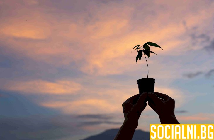 Пътят към духовно израстване